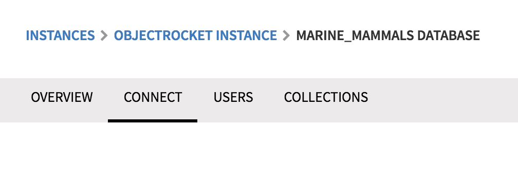 Click on the Connect tab while still viewing your database