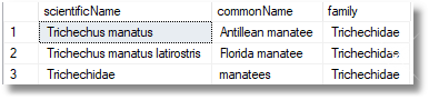 Results showing entries with commonName = manatee