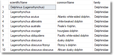 Results showing entries with scientific name = Lagenorhynchus