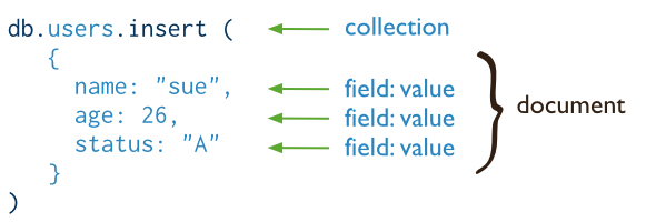 A MongoDB document containing fields of String and Integer data type