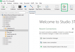 The Quickest Way to Change a Field Type in MongoDB | Studio 3T