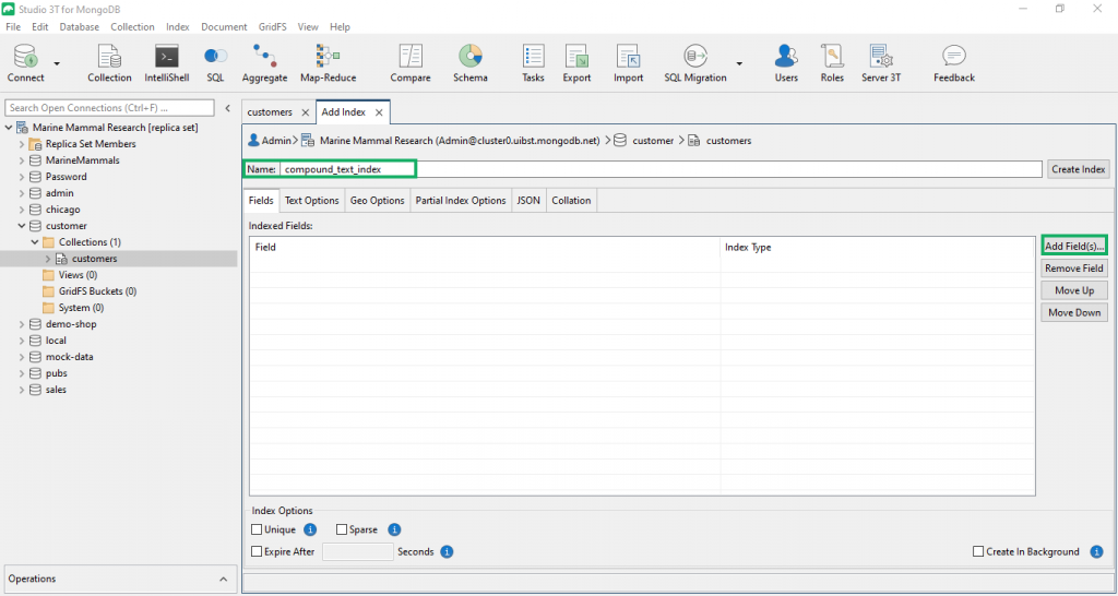 Add a name and choose the fields for your MongoDB index