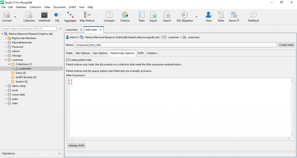 You can also set partial index options in Studio 3T, and even validate JSON before saving