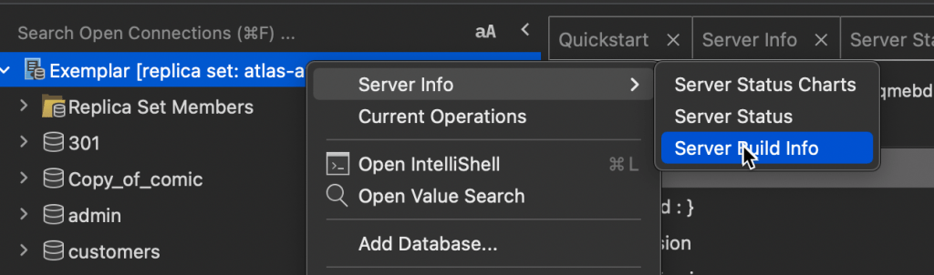 Using the Server Build Info menu